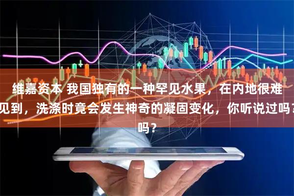 维嘉资本 我国独有的一种罕见水果，在内地很难见到，洗涤时竟会发生神奇的凝固变化，你听说过吗？